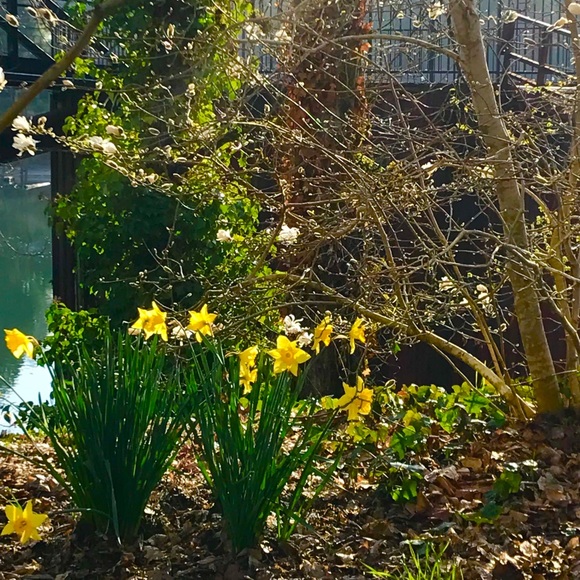 Jacket - Picture 2 of 2